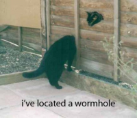 Wormhole